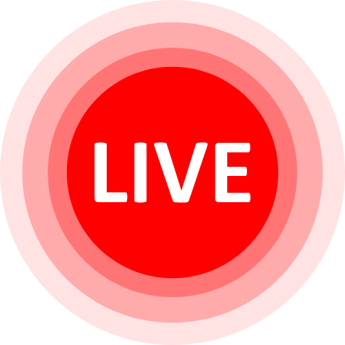 Lovense Roulette